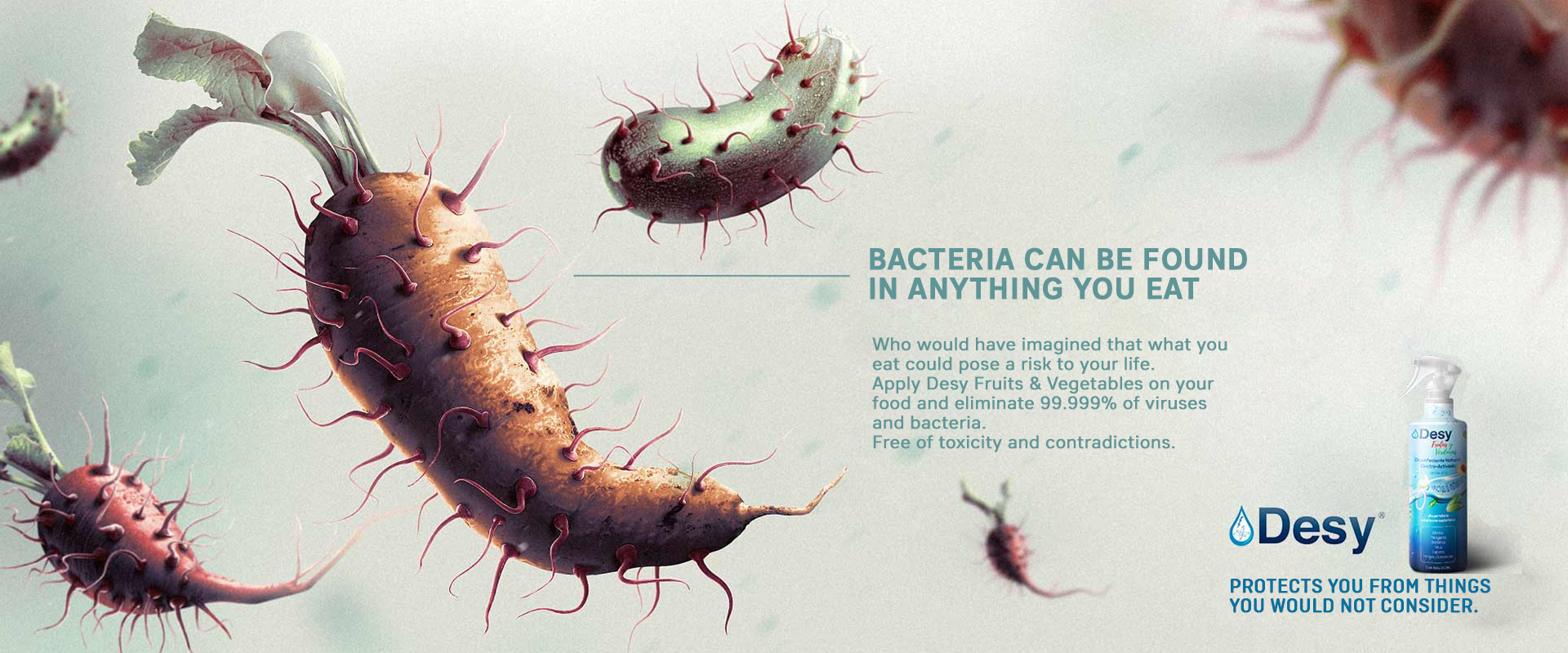 Las bacterias pueden estar en todo lo que comes